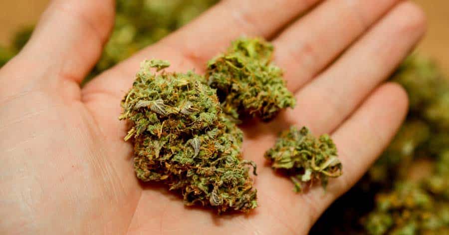 Fake Weed Causes Excessive Bleeding, Leaves Several Dead