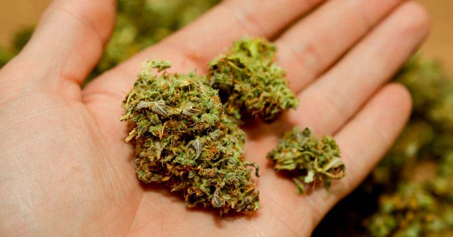 Synthetic Marijuana Linked to Severe Bleeding, Deaths in IL person holding k2 drug