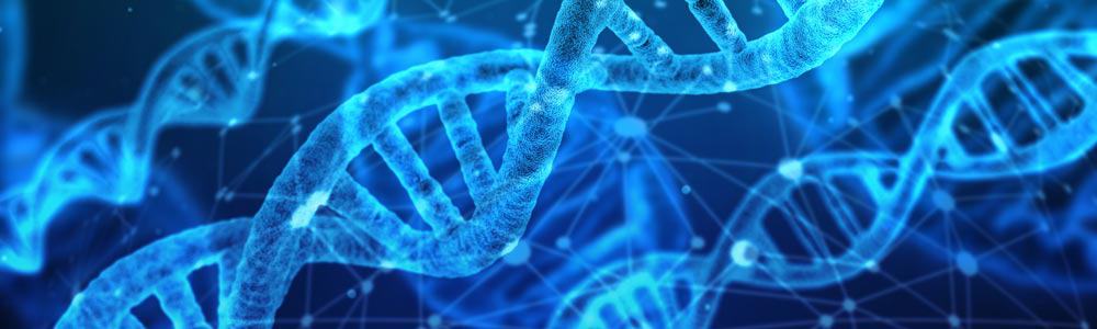 New Study Finds Evidence that Heavy Drinking May Change DNA human DNA