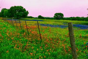 Briarwood Detox Center - Austin, Texas