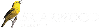Briarwood Detox Center Logo