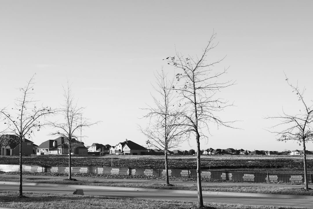 A black and white photo of a park with trees -- Photo by Timseri on Unsplash